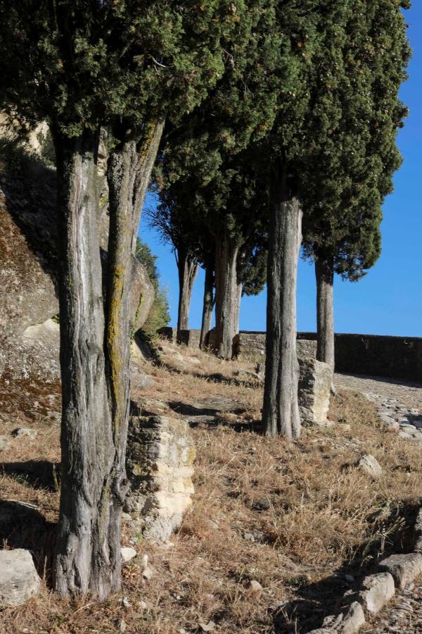 Le 37 Malaucene Bed and Breakfast Εξωτερικό φωτογραφία